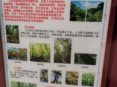 -北京上方山国家森林公园