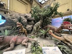 -国家自然博物馆