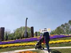 -南通洲际绿博园