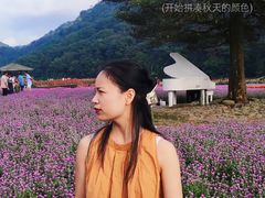 -广州市石门国家森林公园