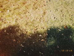 -洛阳市隋唐城遗址植物园