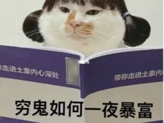 -gaga(深圳福田星河COCO Park店)