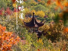 -故宫博物院(故宫)