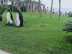 -渔岛海洋度假区