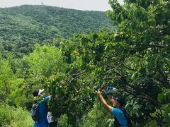 -阳台山自然风景区