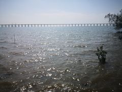 -宝安西湾红树林湿地公园