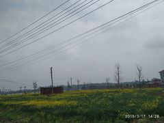 -中国天府农业博览园