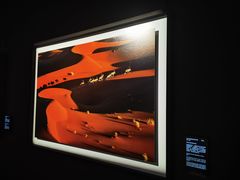 -罗红摄影艺术馆