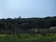 -苏州上方山国家森林公园