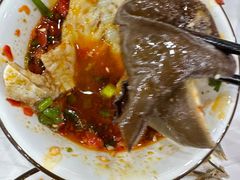 -乡土特色.冷锅鱼.牦牛肉汤锅