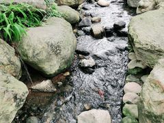 -洪崖丹井