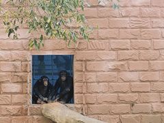 -北京野生动物园