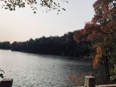 -嵖岈山风景区