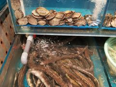 -开海·红岛海鲜虾水饺(石老人店)