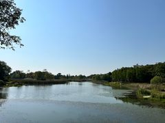 -贡湖湾湿地公园
