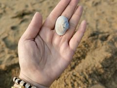 -那香海钻石沙滩浴场