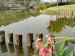 -王借岗森林公园