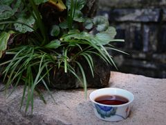 -月栖华明-云间草堂清茶馆(泗泾古镇店)