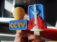 -中央广播电视总台(光华路办公区)