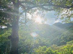 -羚羊峡古栈道森林公园