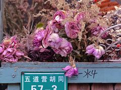 -五道营胡同