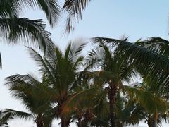 -宴悦海鲜餐厅·游水海鲜·牛排(亚龙湾瑞吉店)
