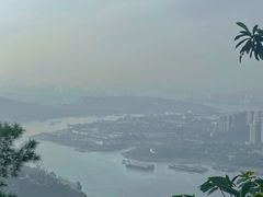 -铁山坪森林公园