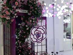 -新世界大丸百货