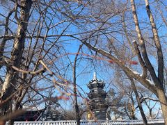 -哈尔滨极乐寺