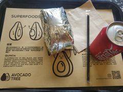 -油梨树AVOCADO TREE(顺义新国展店)