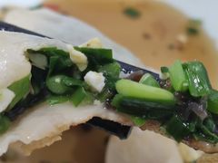 素锅贴-春水锅贴·传统鲁菜(大明湖店)