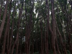 -同里国家湿地公园