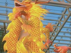 -武汉园博园(武汉自然博物馆)