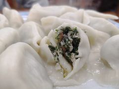 茴香馅饺子-乐回头饺子店