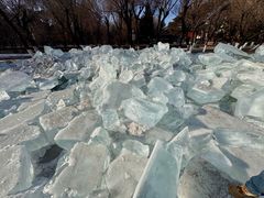 -长春市南湖公园