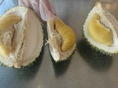 -都念榴莲·城市榴莲