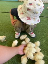 -萌宠亲子动物乐园(槐房万达店)