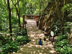 -大岭沟猕猴桃谷风景区