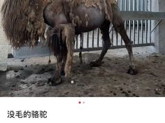 -潇河湿地公园