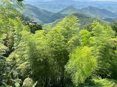 -莫干山风景区