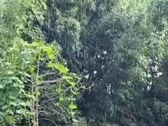 -长鹿旅游休博园