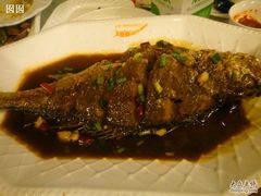 黄鱼-沈家门海鲜夜排档(东港店)