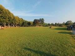 -宜兴龙背山森林公园