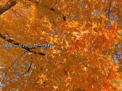 -沈阳市东陵公园