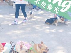 -小意思咖啡店(草桥店)
