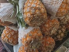 -灯旺水果(常福店)