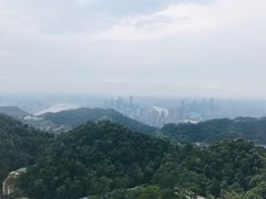-大金鹰园