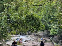 -广州白江湖森林公园