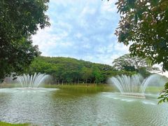 -东莞植物园