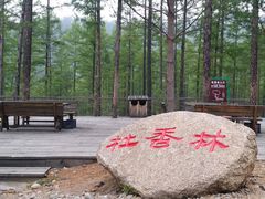-莫尔道嘎国家森林公园